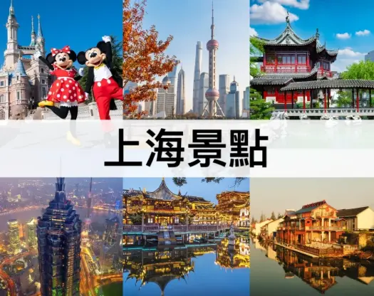 上海环贸iapm探店：白领午餐人均五十与避雷，这地方真的能吃饱吗？